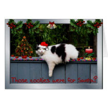Cookie Loving Cat cards