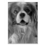 Cookie the King Charles Spaniel Greeting Card