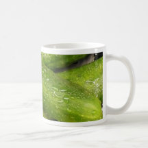 cool As A cucumber Coffee Mug