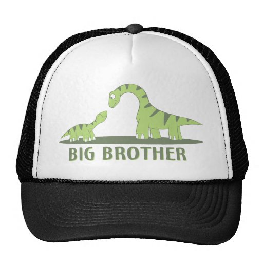 Cool Big Brother Shirt - Dinosaur Theme Mesh Hats