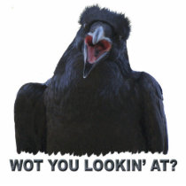 Cool Black Raven Wildlife sculpted Gift Item