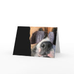 Cool Boxer in sunglasses greeting card