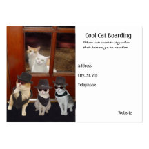 Cool Cat Boarding Business Card