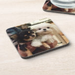 Cool coasters with dogs on them