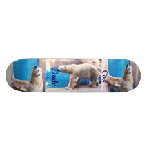 Cool Dude Polar Bear Boar Skate Board Decks