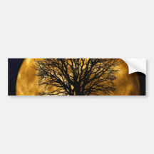 Cool Full Harvest Moon Tree Silhouette Gifts Bumper Sticker
