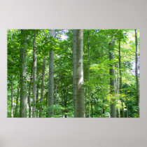 Cool, Green and Shady Print