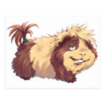 Cool Guinea Pig Postcard