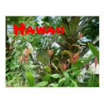Cool Hawaii Flowers Post Card