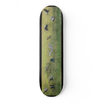 Cool Heron Collage Skateboard