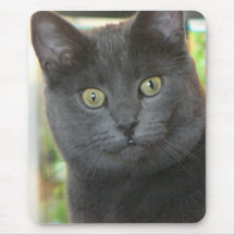 Cool Kitty Cat Tees and Gifts - Customizable Mouse Pad