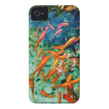 Cool School Case-Mate iPhone 4 Case