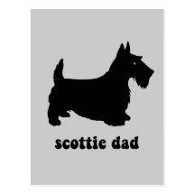 Cool Scottie Postcard