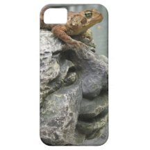 Cool silly Toad iPhone 5 Cover