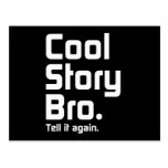 Cool Story Bro. Tell it again. 5 Post Card