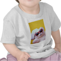 Cool teddy bear with sunglass shirt