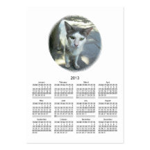 Cool Town Cat Green Eyes Calendar 2013 Card Business Card Templates