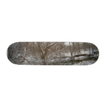 Cool Winter Scene SkateBoard