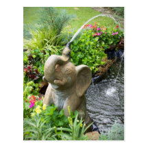 Cooling Off Postcard