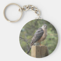 Cooper's Hawk Key Chains