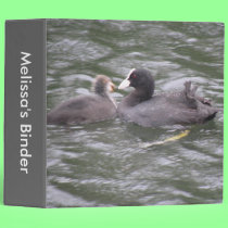 Coot Feeding Hungry Chick Custom Binder binders