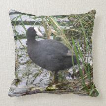 Coot on the Riverbank Pillow