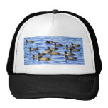 Coots, American Coots Trucker Hats