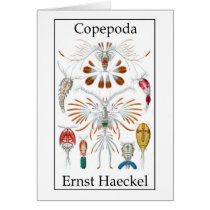 Copepoda by Ernst Haeckel Greeting Card