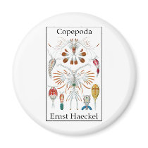 Copepoda by Ernst Haeckel Refrigerator Magnet