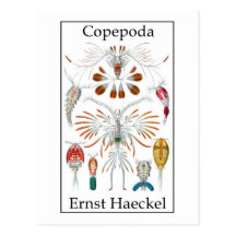 Copepoda par Ernst Haeckel Cartes Postales