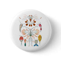 Copepods Pinback Button