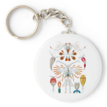 Copepods Key Chains