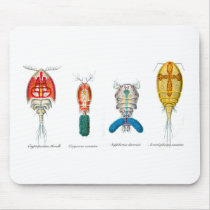 Copepods Mouse Pad
