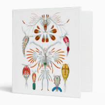 Copepods Vinyl Binders