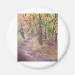 Cópia de Mata de Sintra -50x60 Fridge Magnet