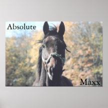 Copie absolue de Maxx Posters