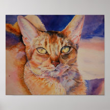 Copie abyssinienne de chat poster