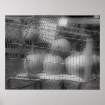 Copie blanche de photo de noir de citrouilles d'au affiche