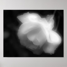Copie blanche de photo de noir rose de fleur posters