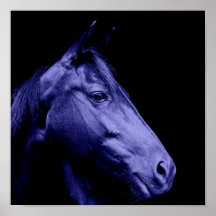 Copie bleue d'affiche de silhouette de cheval