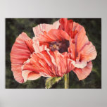 Copie botanique rose de toile d'affiche de pavot d