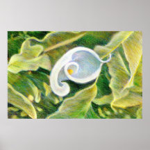 Copie d'affiche de beaux-arts de zantedeschia
