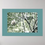 Copie d'affiche de Digitals de flore verte en bon 