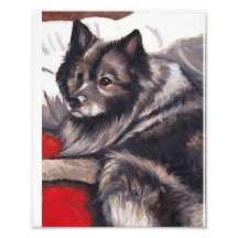 Copie d'art de chien de Keeshond Art Photographique