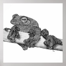 Copie d'art de grenouille de vol de Wallaces Affiches