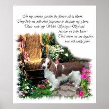 Copie d'art de springer spaniel de Gallois Affiche