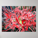 copie d'art de toile de peinture de fleurs de lis  posters