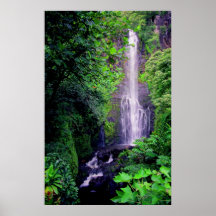Copie d'automnes de Wailua Affiche