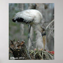 Copie de cigogne en bois affiche