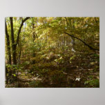 Copie de couleurs d'automne affiches
